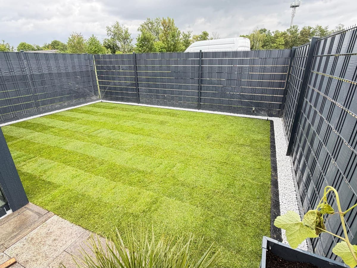 Frisch verlegter Rollrasen im gepflegten Garten
